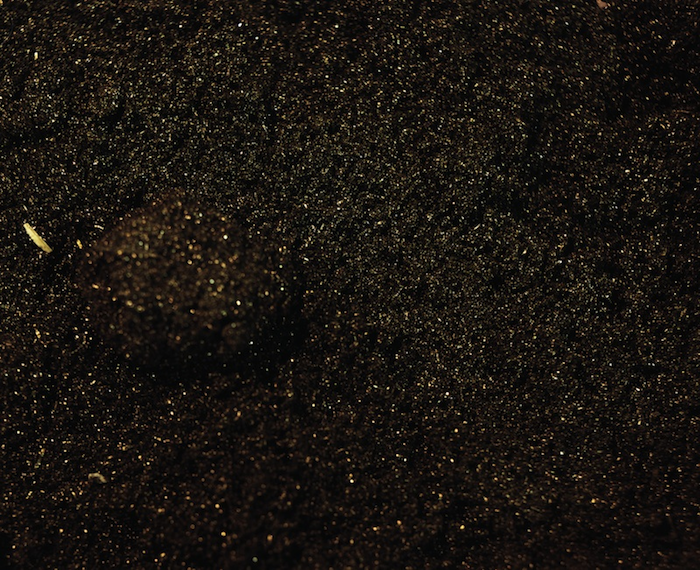 9.pollen.png