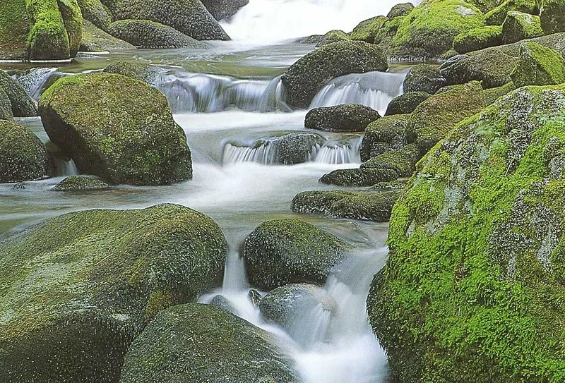 fengshui_800.jpg