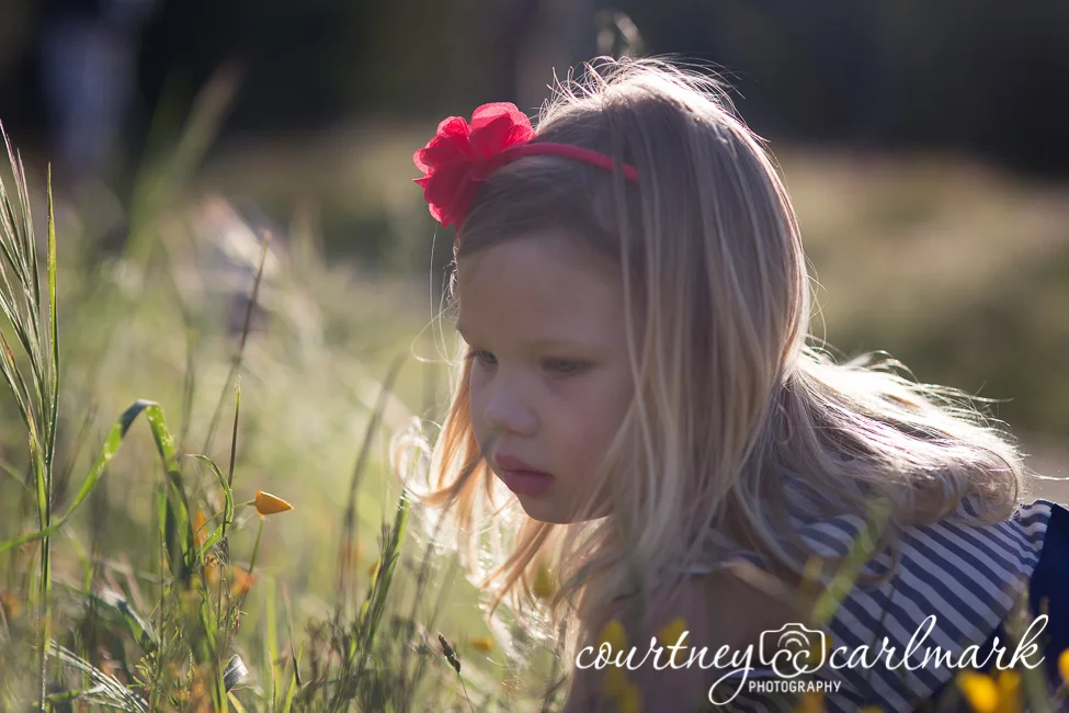 Searching for the eggs I hid in the grass.