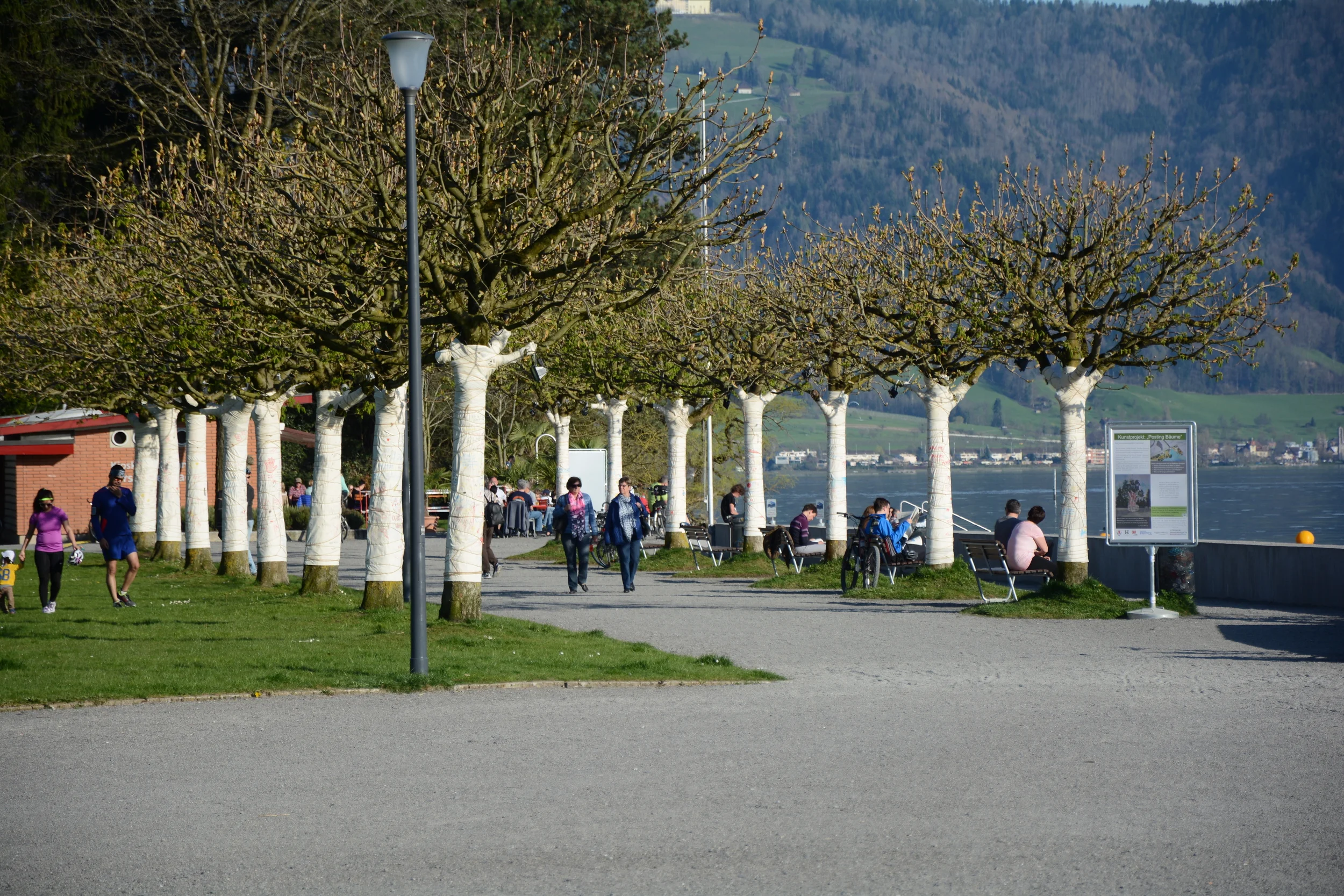 Posting Bäume, Hirsgarten Cham 