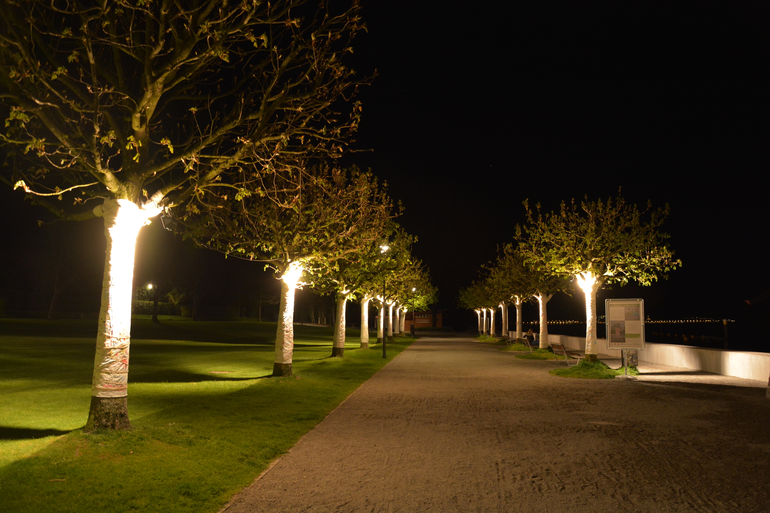 Posting Bäume, Hirsgarten Cham