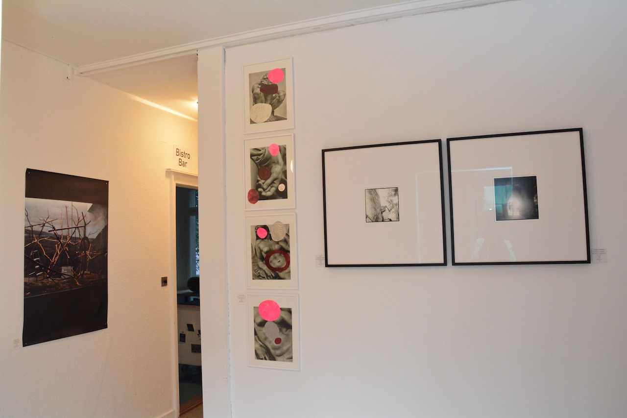 DSC_6173.jpeg