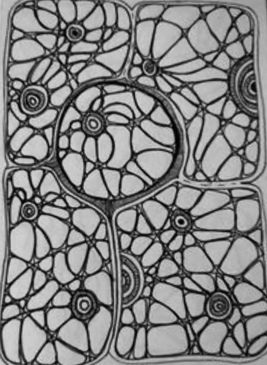 image00019.jpeg