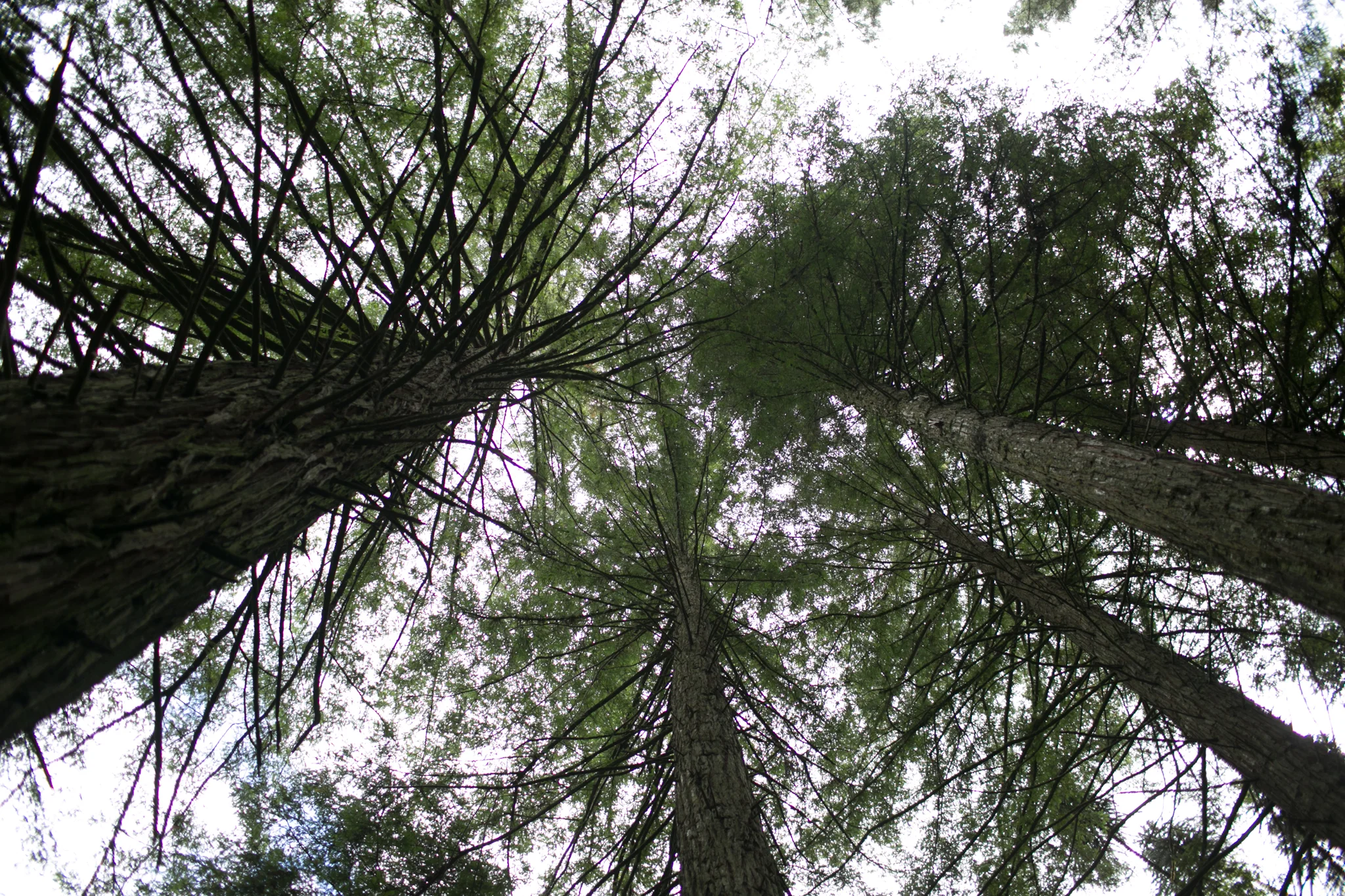 EDU_1084.jpg