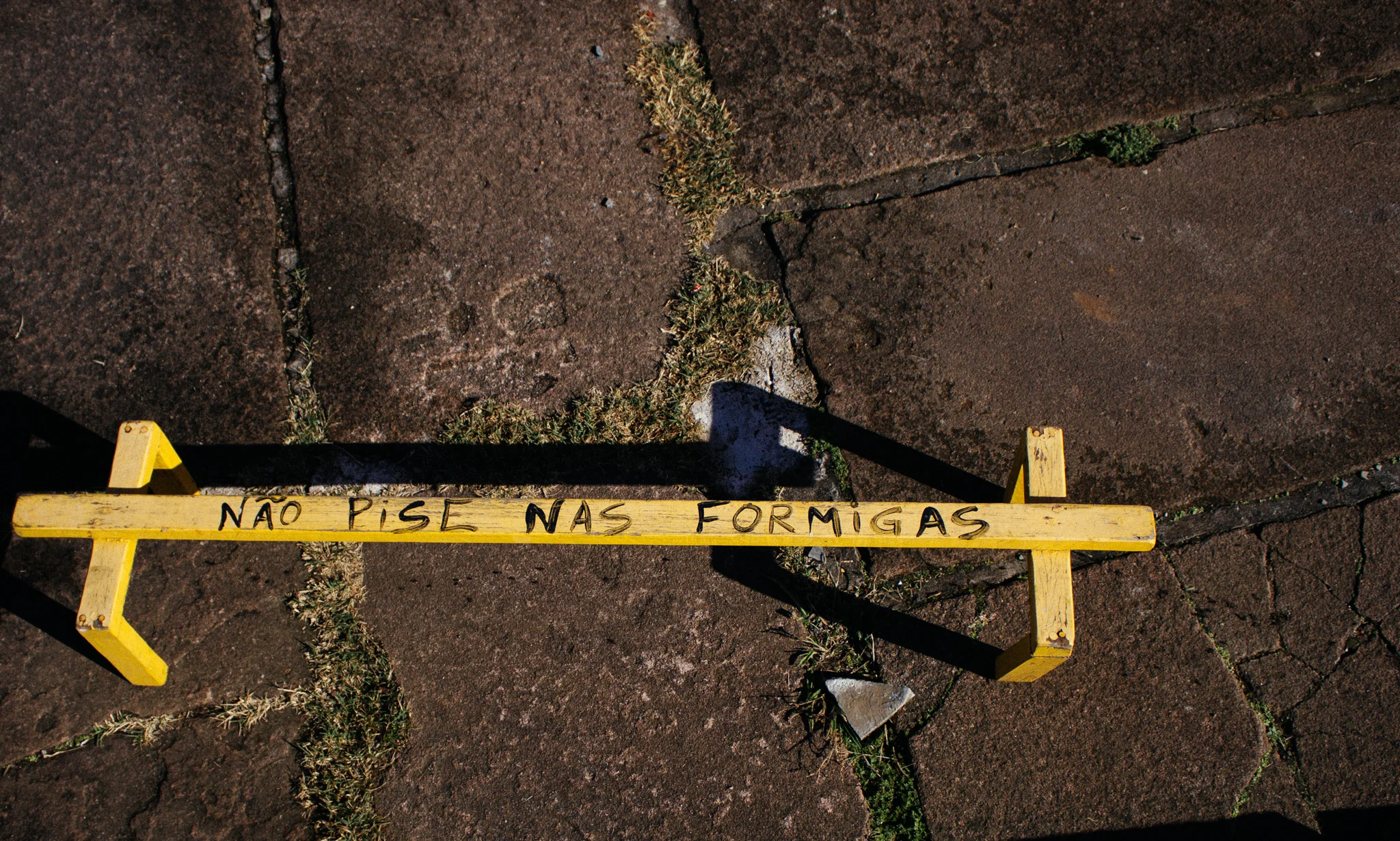 Assim elas passam tranquilas