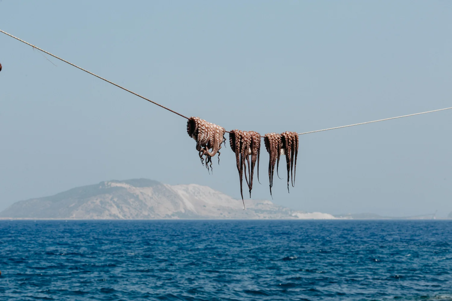 Polvos de polvo em uma corda com o mar e uma ilha ao fundo.