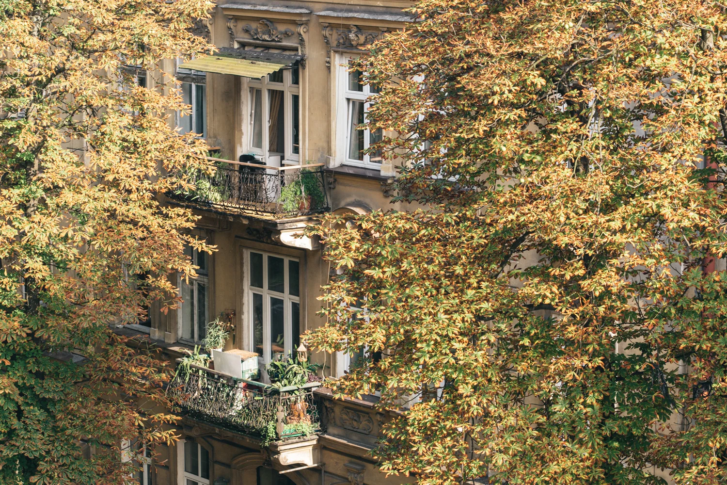EDU_4819.jpg