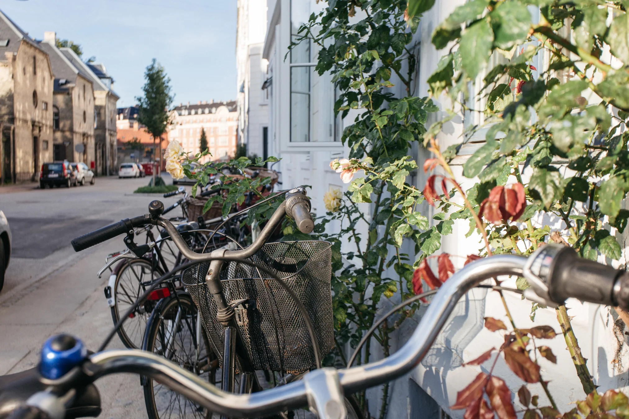 Copenhaguem_2016_00204.jpg