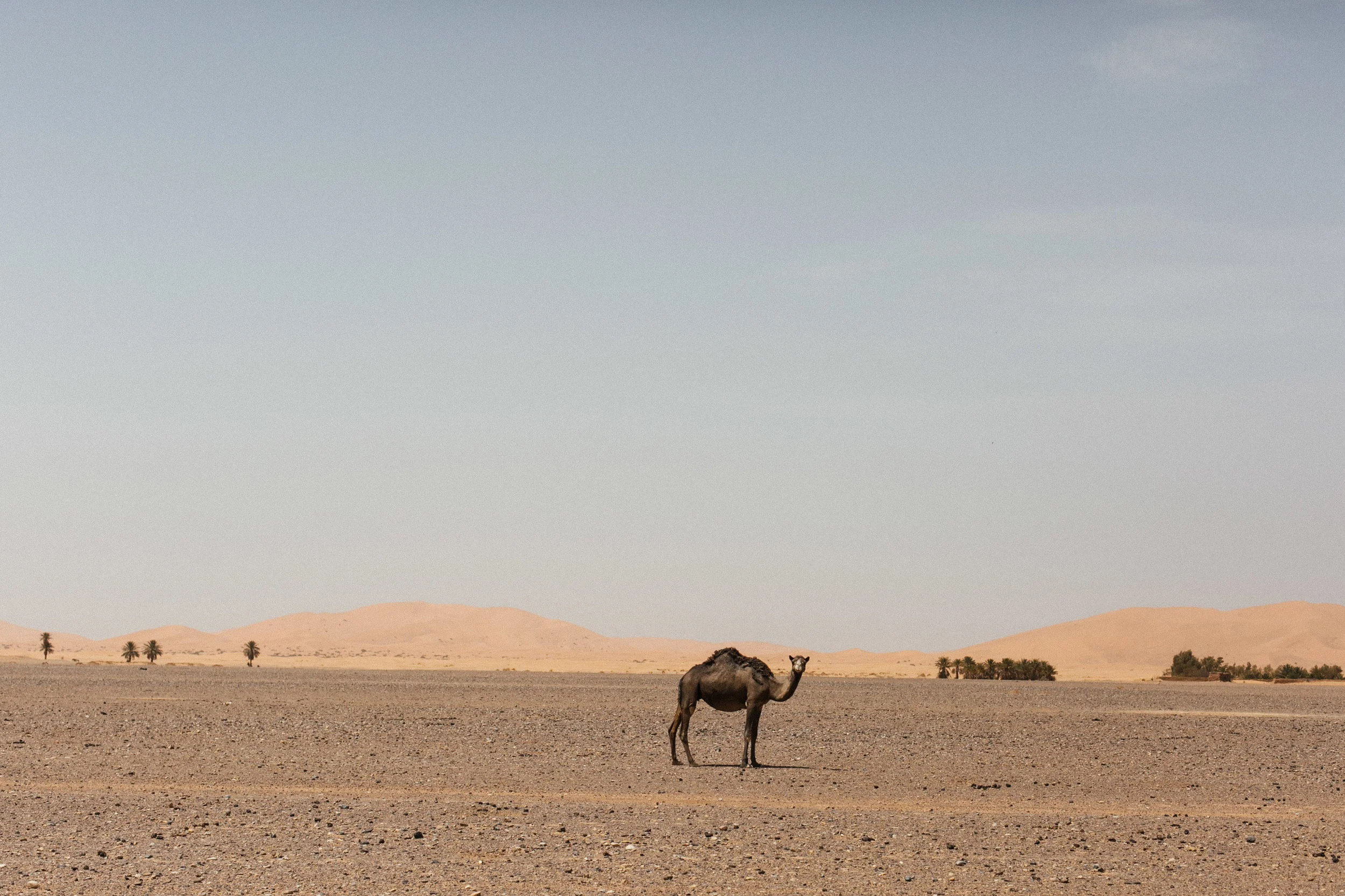 Marrocos 50mm 1.4-51.jpg