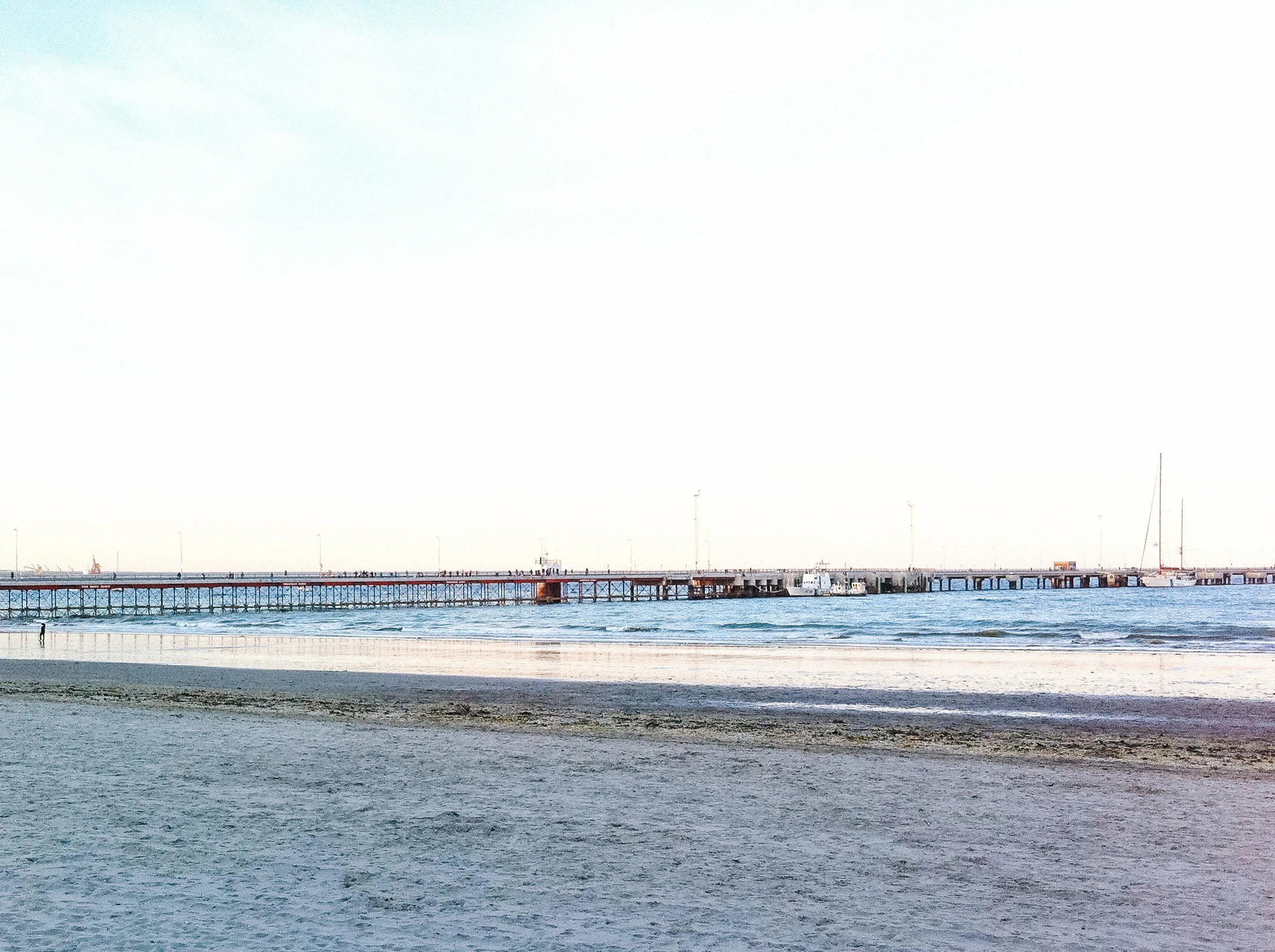 puerto madryn patagonia argentina 6.jpg
