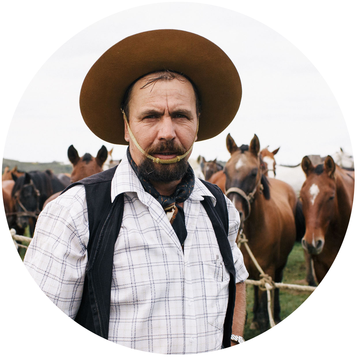 Rodeio+PTG_05.05.2018-4.png