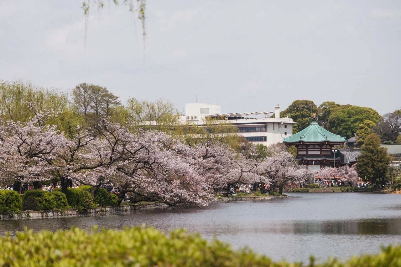 Ueno Toquio Japão o que saber antes de ir