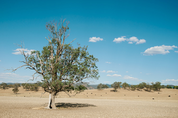 Wedding-Photographer-Tamworth-JH1.jpg