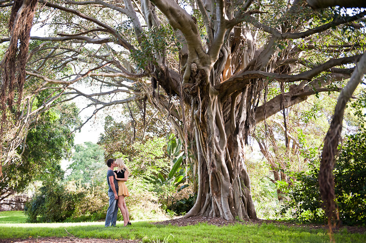 Engagement-Photographer-Sydney-DD-7.jpg