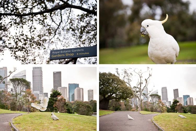 Engagement-Photographer-Sydney-J&R1.1.jpg