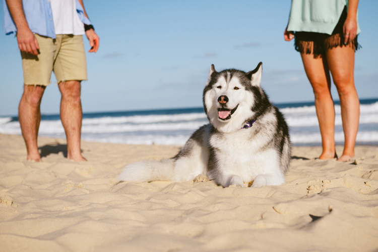 Engagement-Photographer-Sydney-KM9.jpg