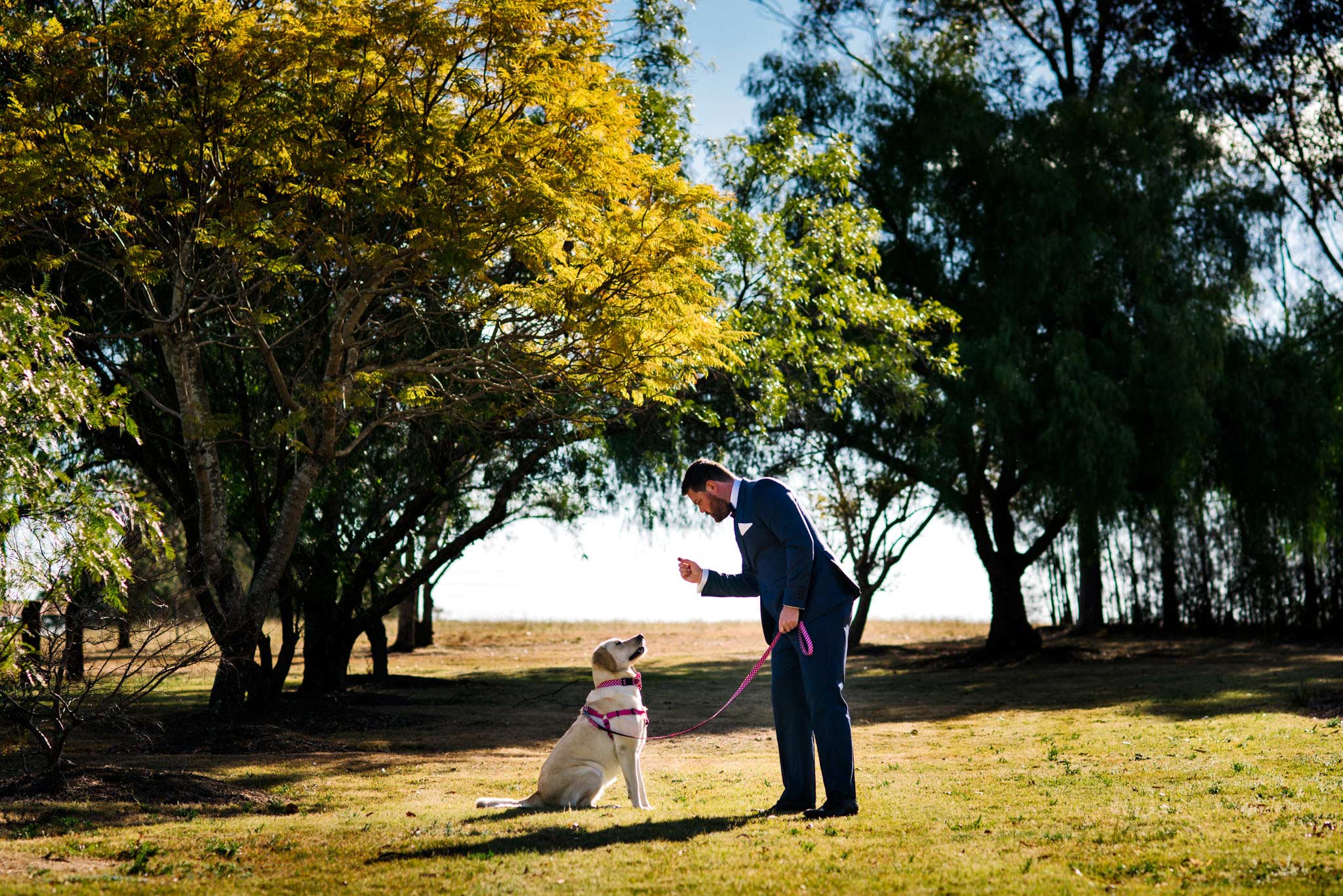 Groom giving his dog a treat with big trees and country setting in background