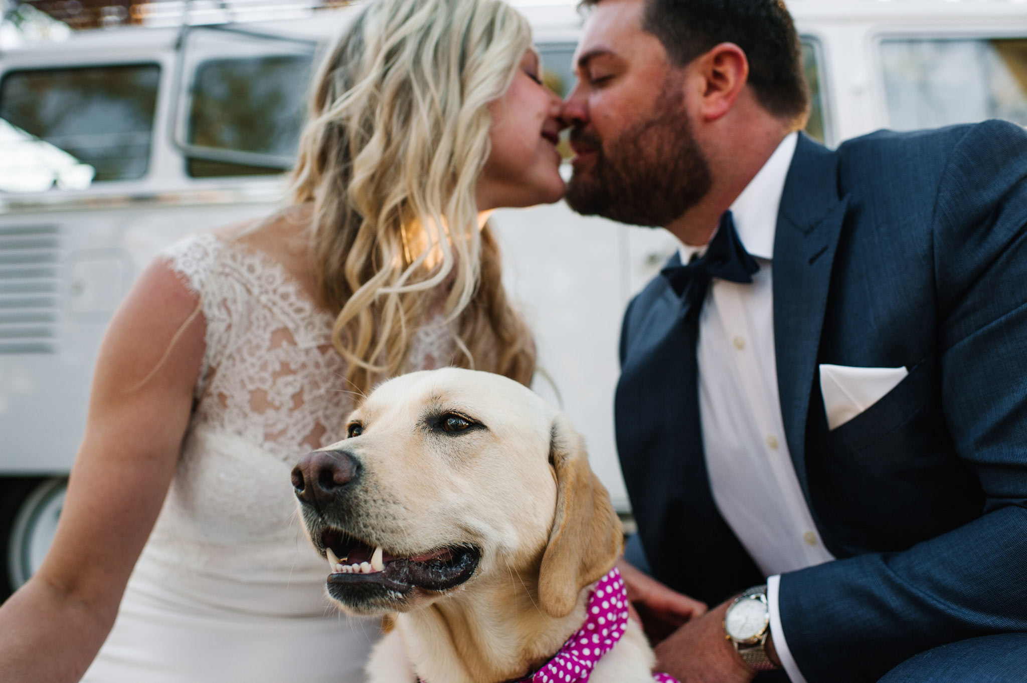 Newlyweds kissing with dog in the foreground
