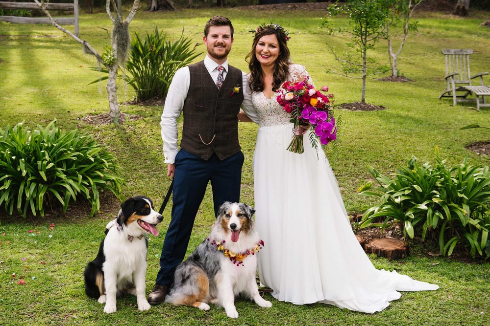 Two dogs with floral wreaths act as ring bearers
