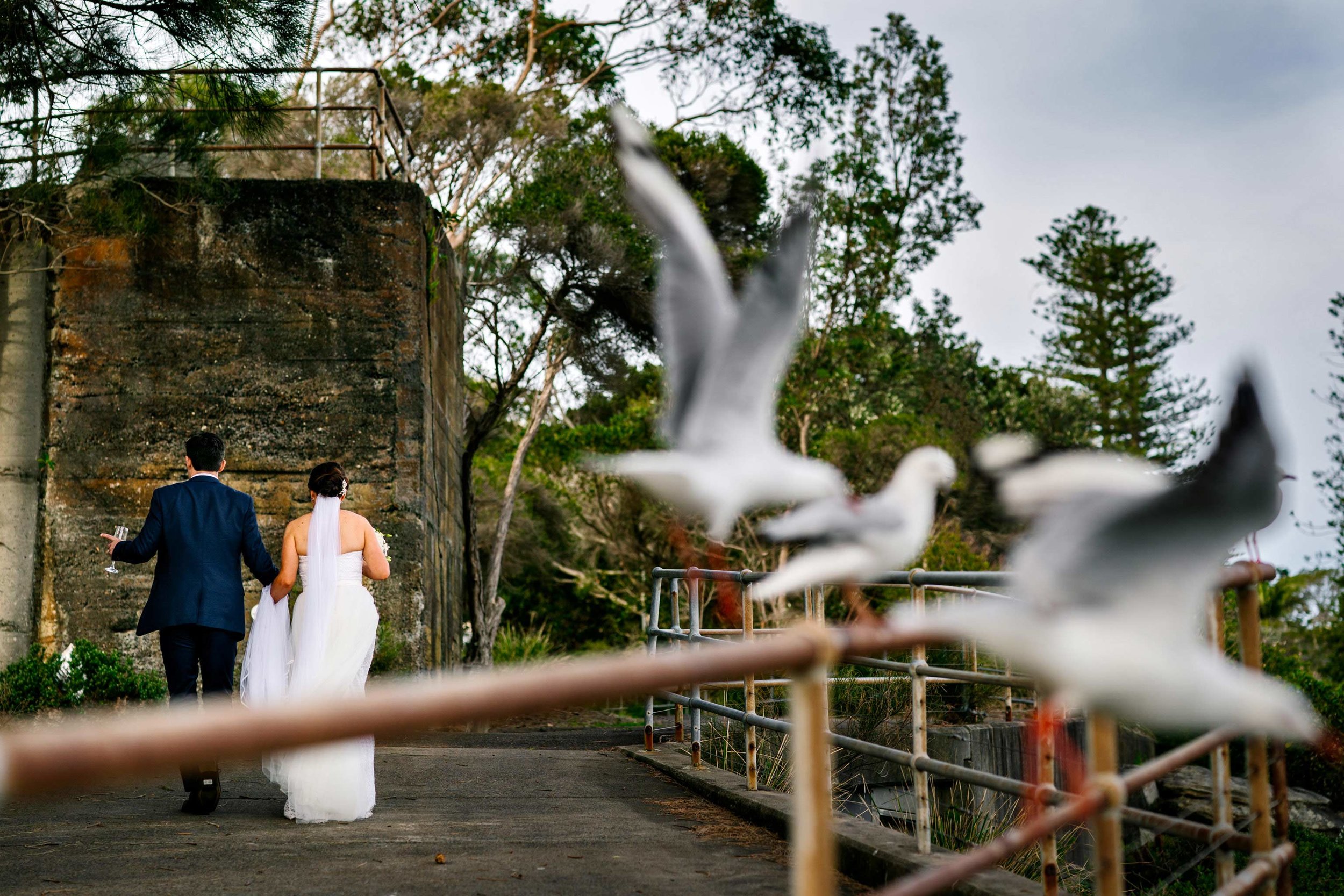 Bride and groom with birds flying away in foreground at Little Manly Point