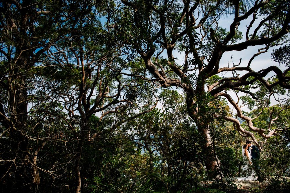 Newlyweds amongst gum trees in forest near Whale beach
