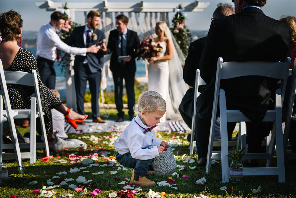 Toddler ring bearer gathers flower petals during wedding ceremony