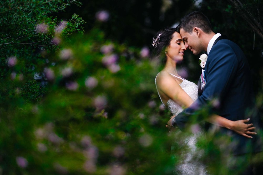 Newlywed couple embrace in the gardens at Manly Golf club in Sydney's Northern Beaches