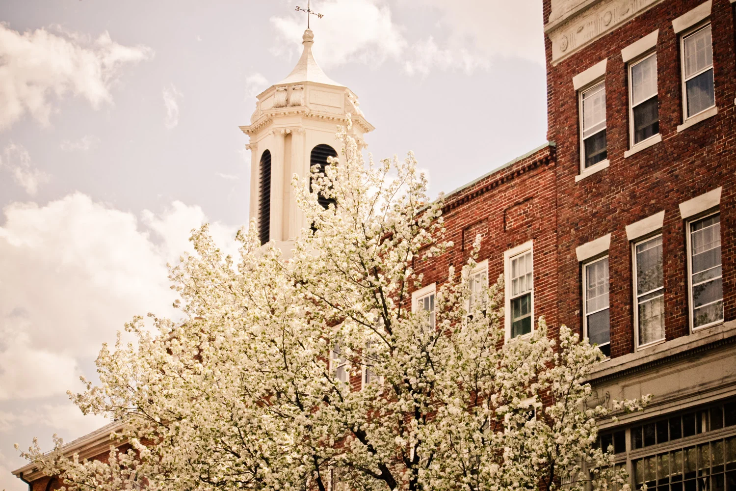 Boston-35.jpg