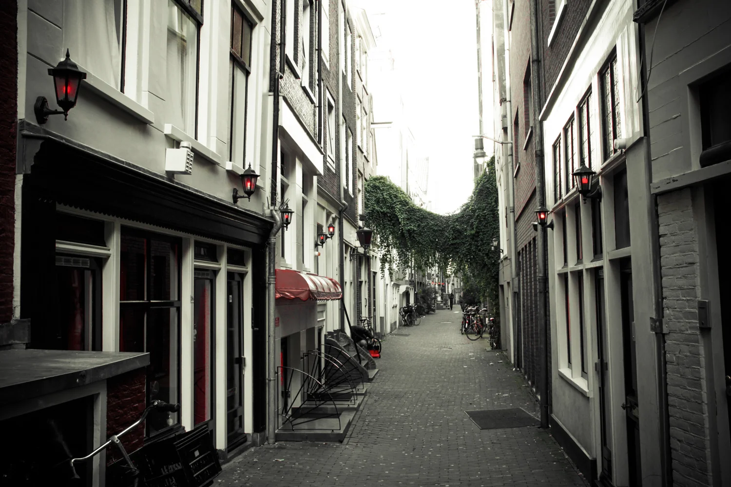 Travel-7.jpg