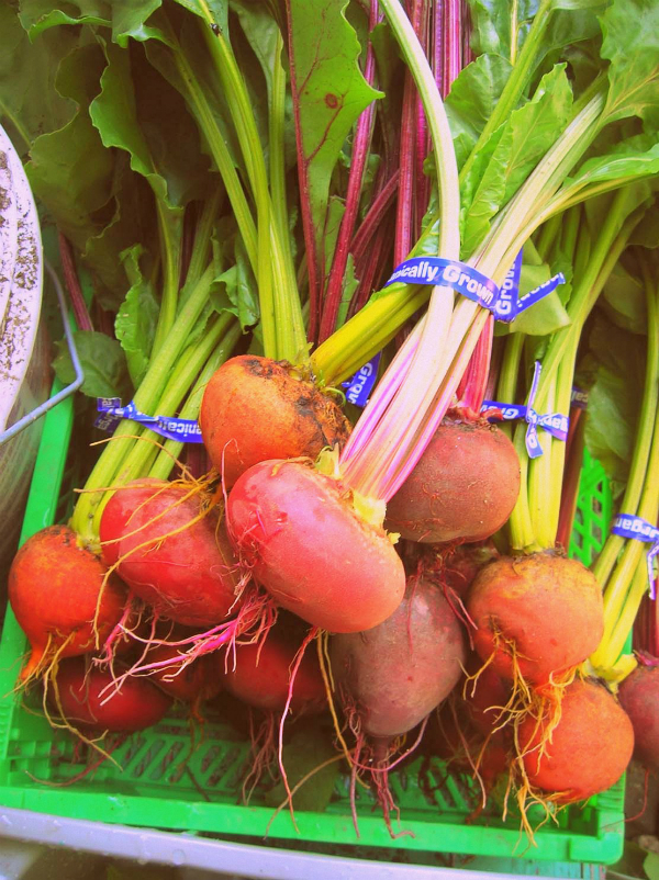 Beets.jpg