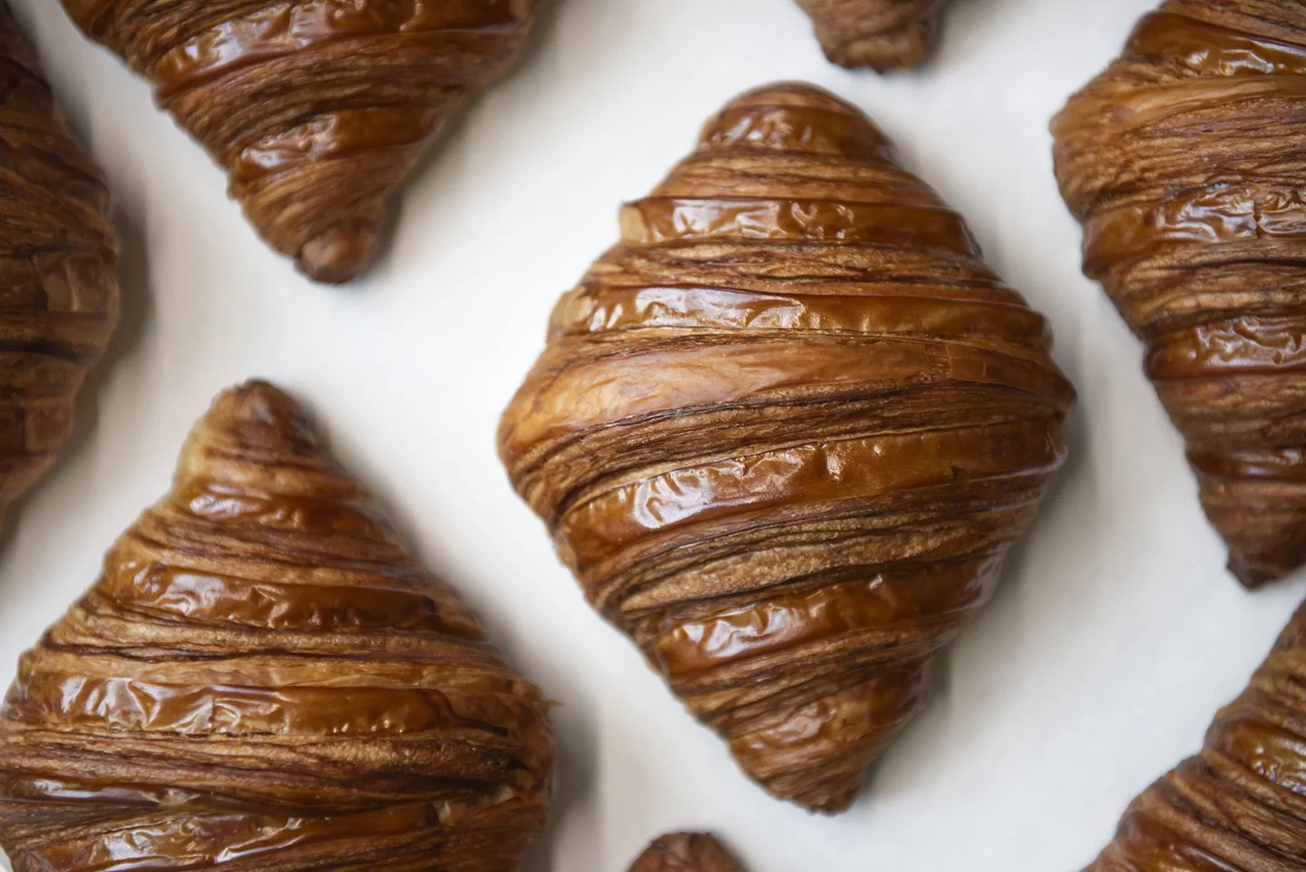 capital one_jinju_0390_sm.jpg