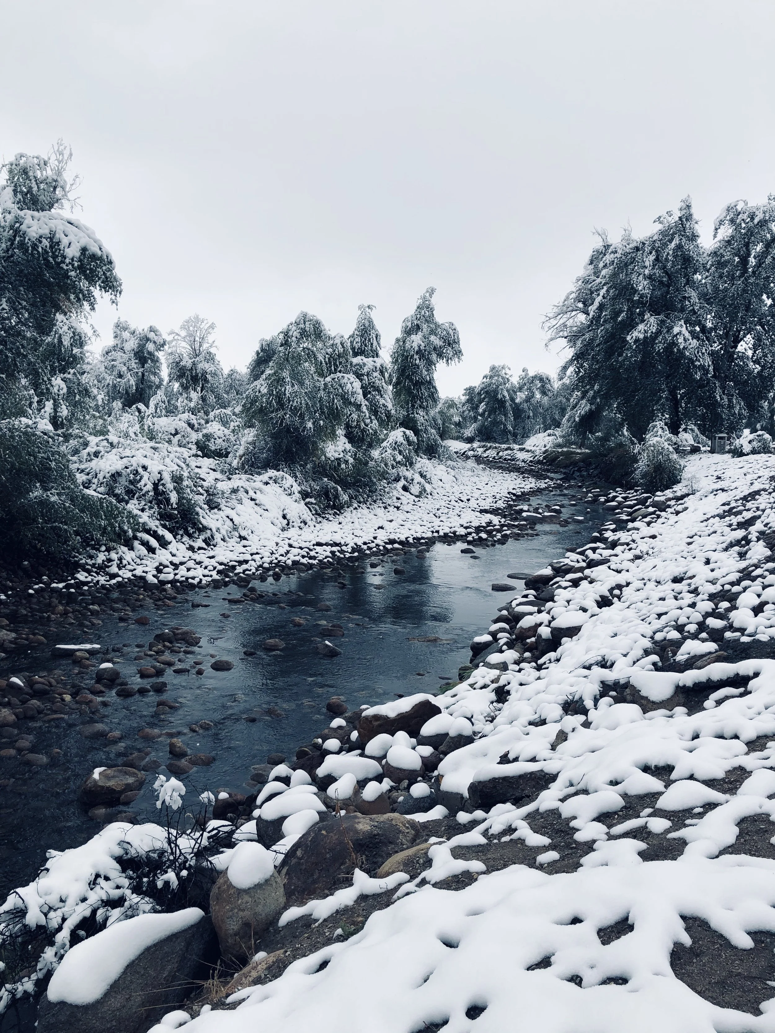 Jill Joy - Dark River - Photography - BW - Wyoming