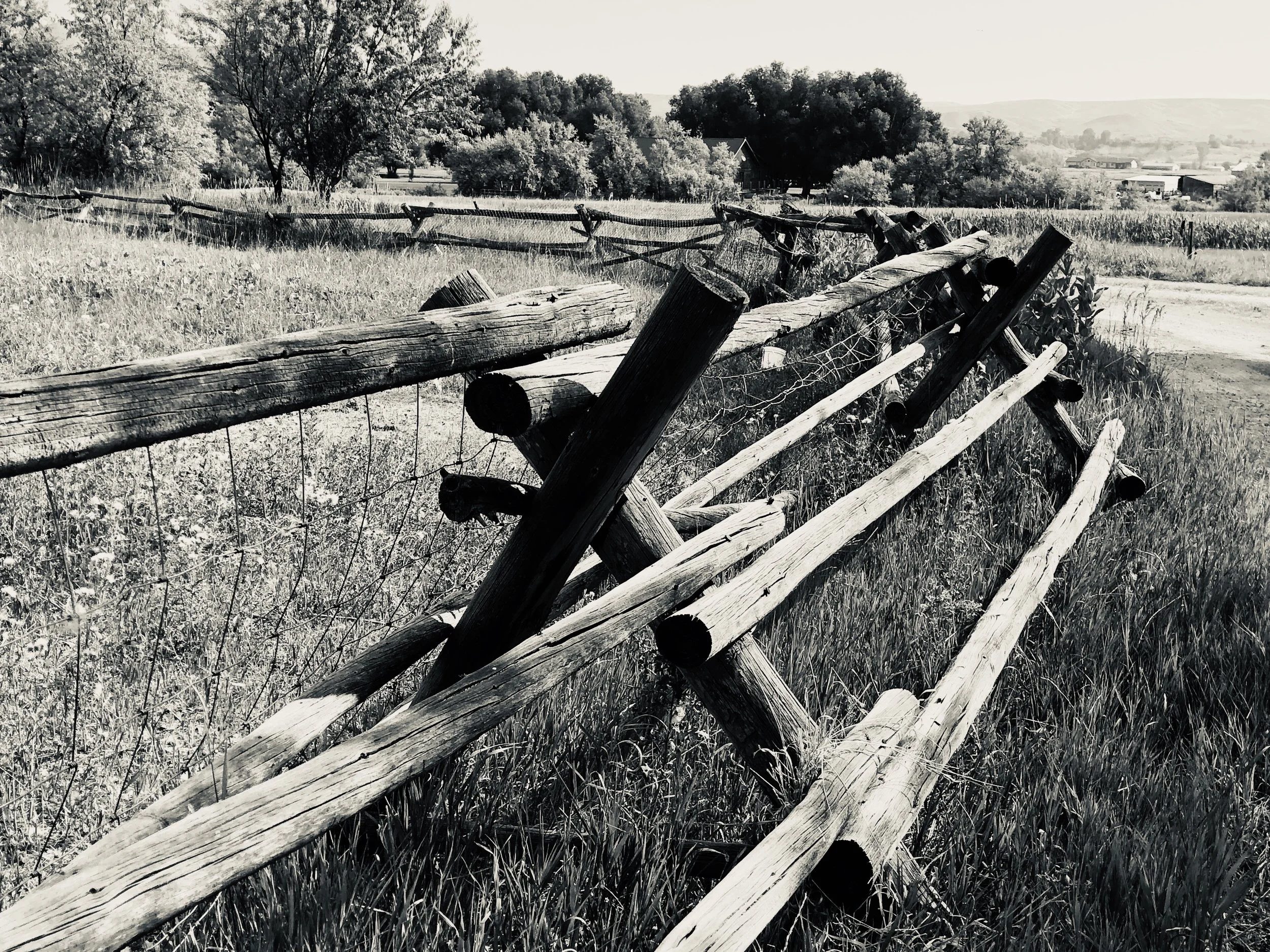 Jill Joy - Eternal Boundaries - Photography - BW - Wyoming