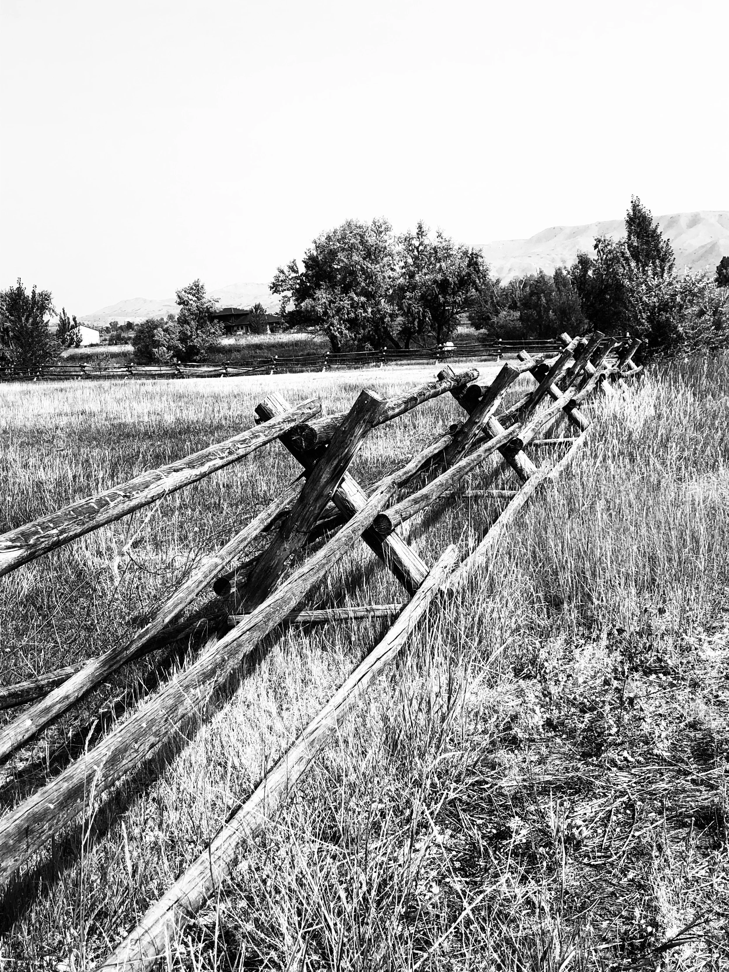 Jill Joy - Boundaries - Photography - BW - Wyoming