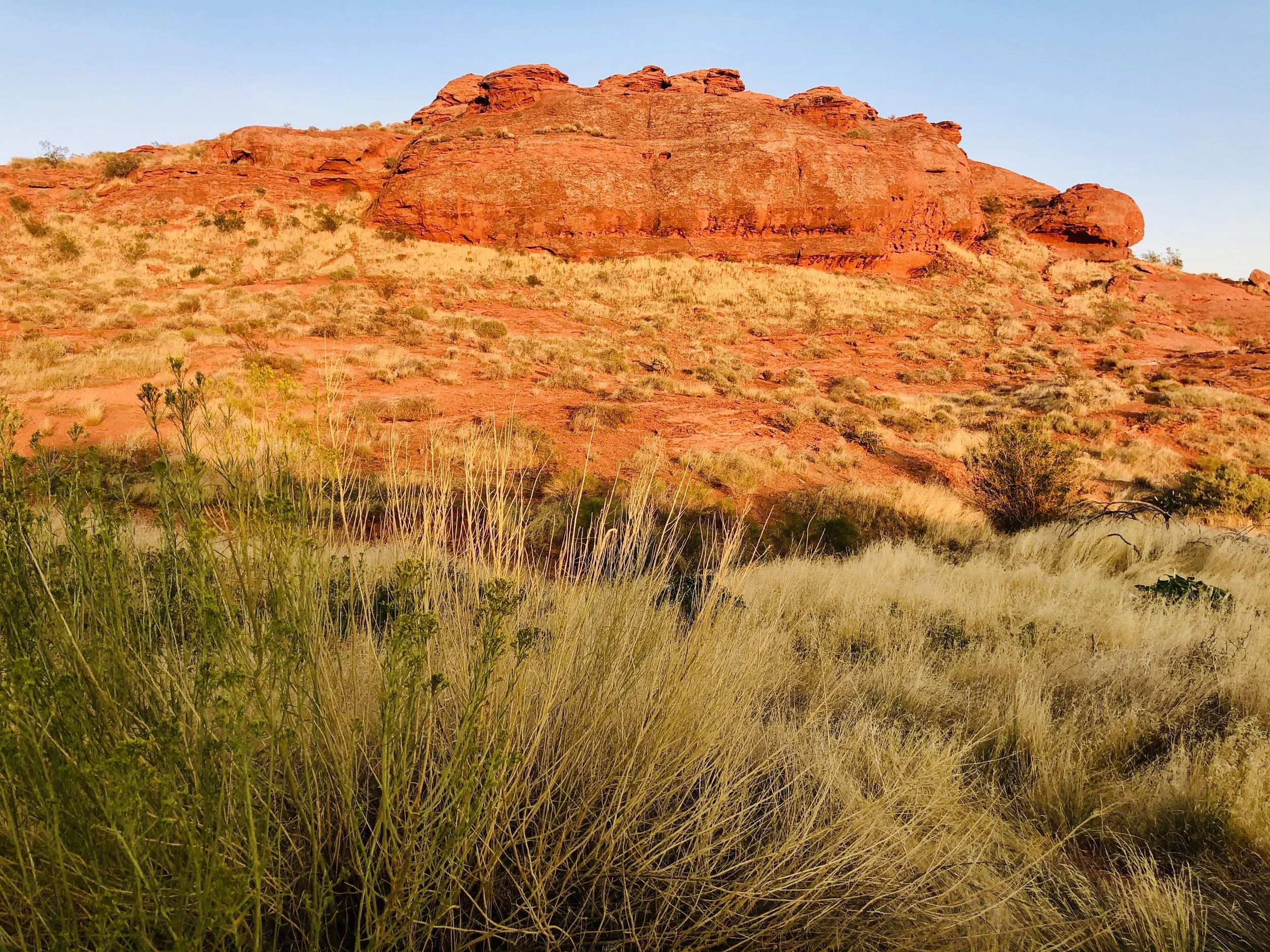 Jill Joy - Hillside - Photography - Utah