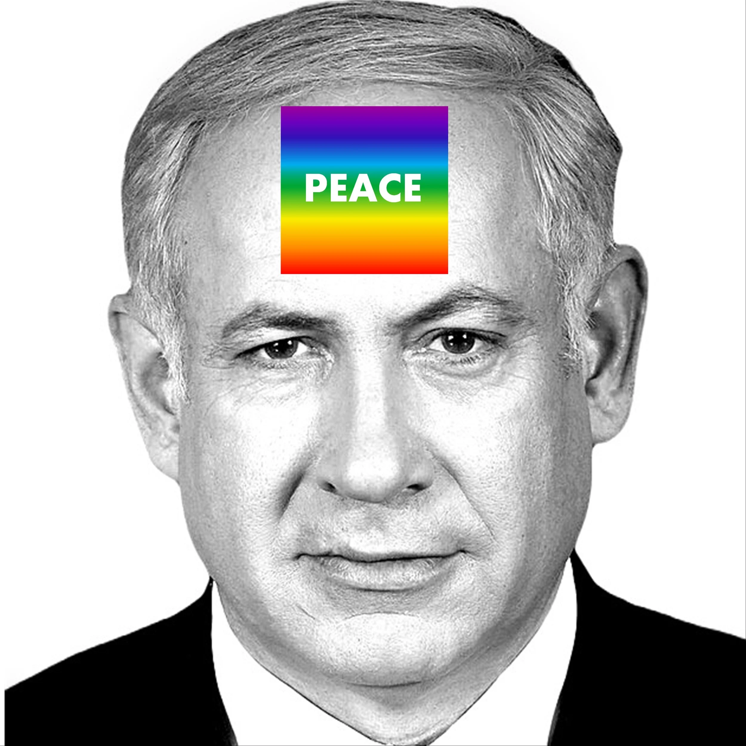 Jill Joy - A Prayer for Peace Please BiBi - The Enlightenment Campaing - Digital Art