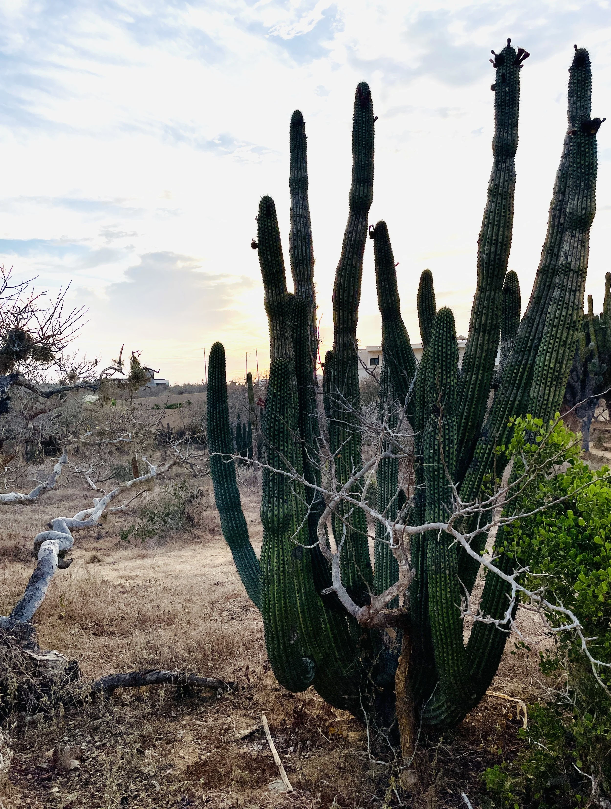 Jill Joy, Desert Titan 6, Baja Mexico, 2026