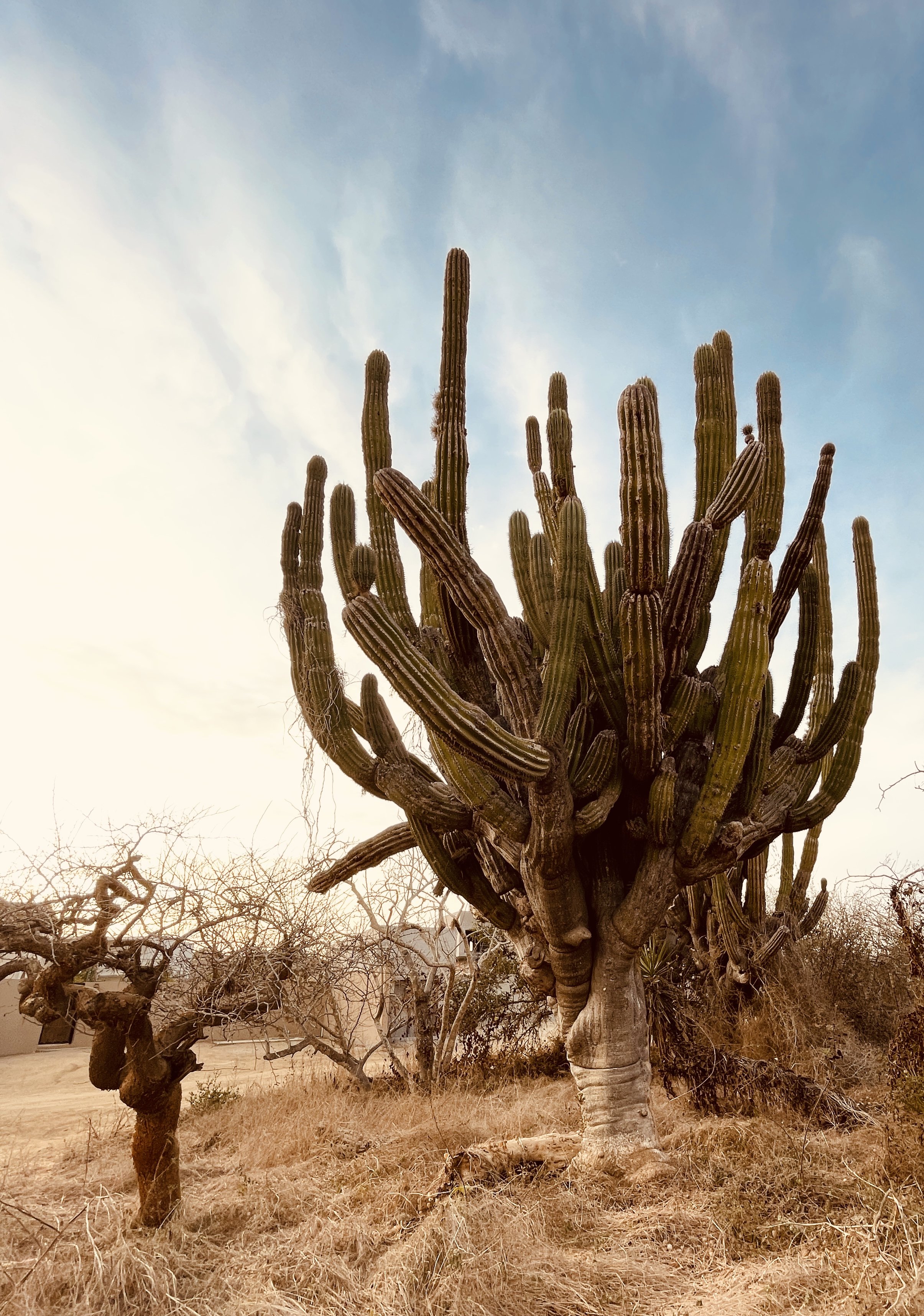 Jill Joy, Desert Titan 4, Baja Mexico, 2026