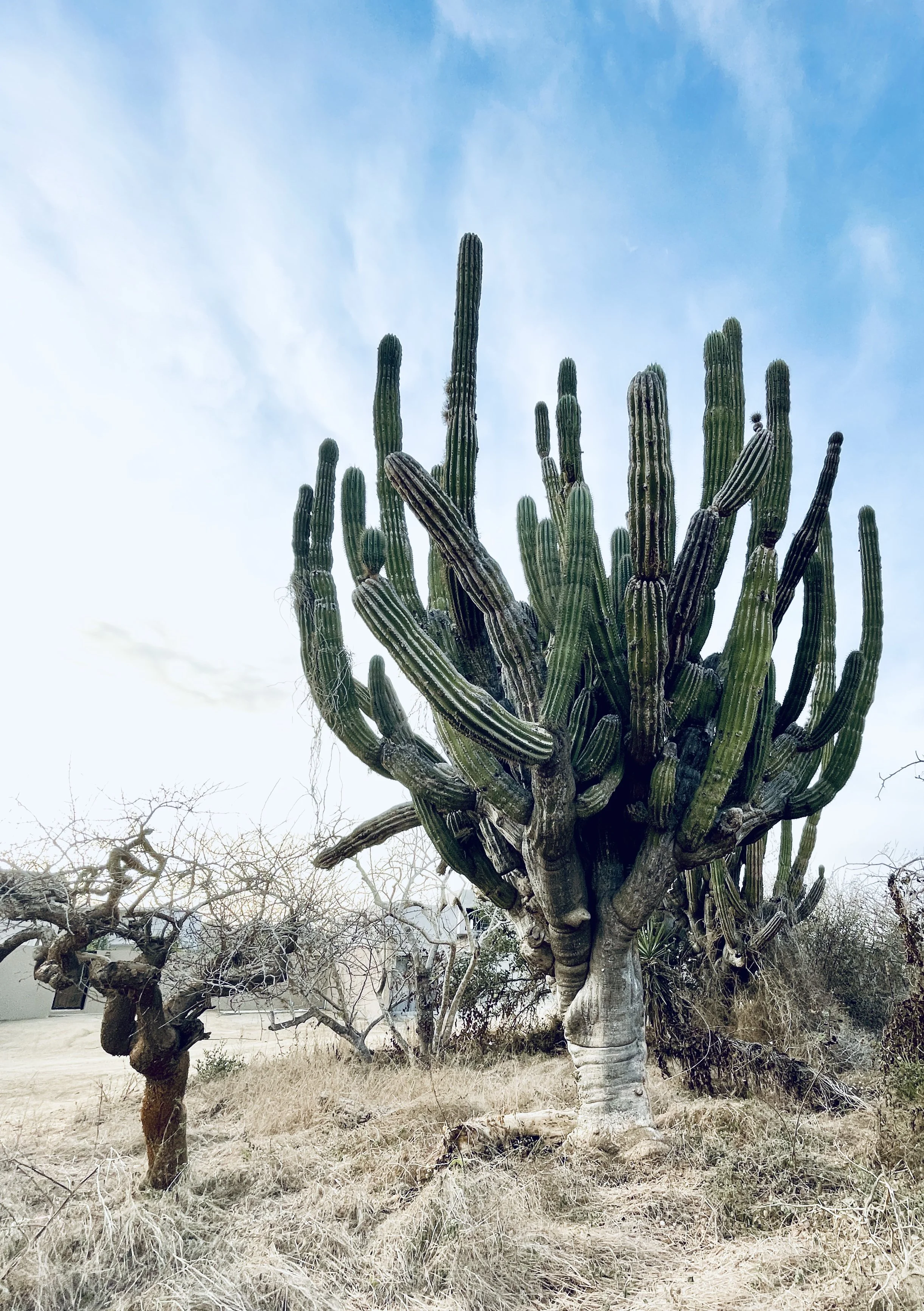 Jill Joy, Desert Titan 1, Baja Mexico, 2026