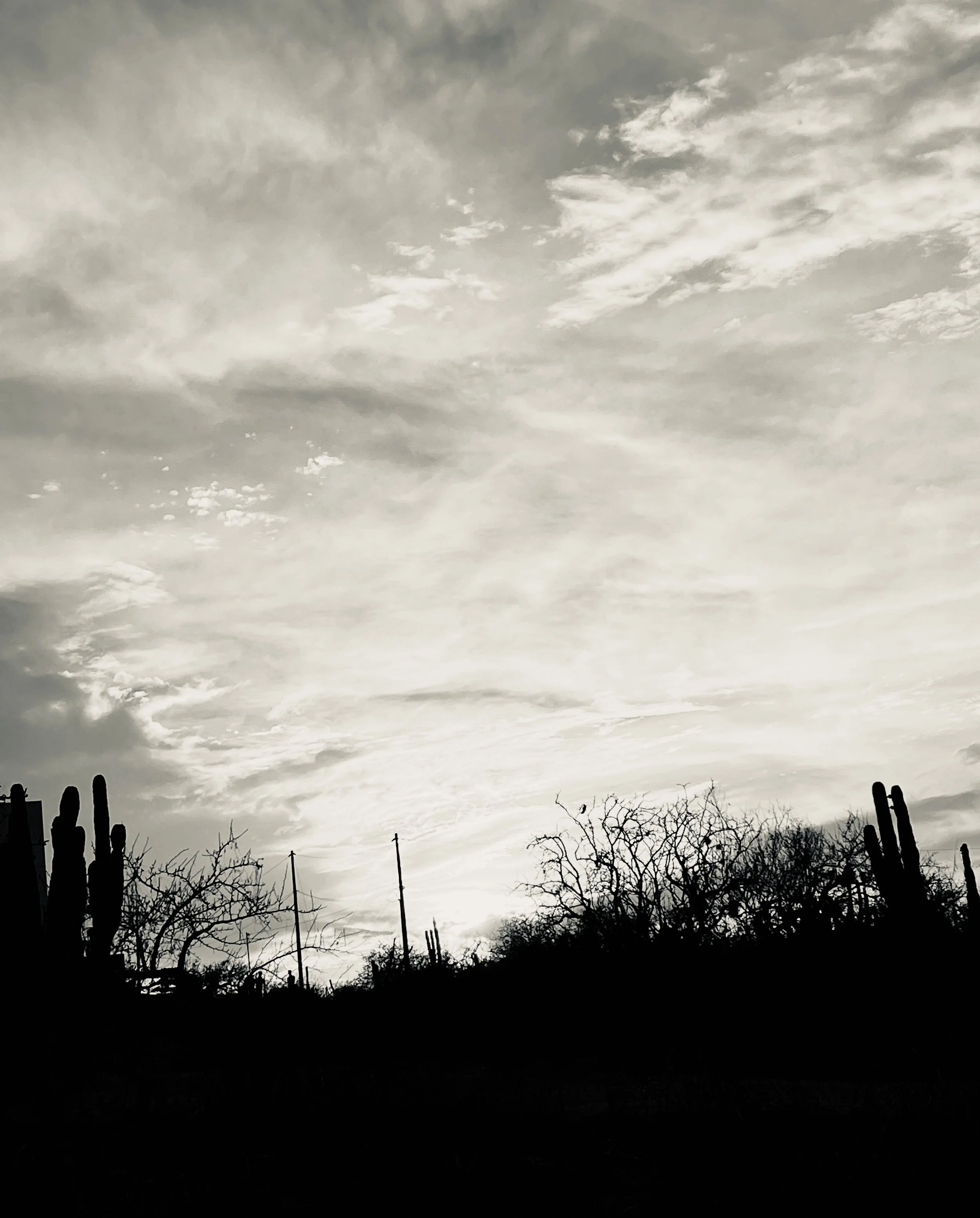 Jill Joy, Desertscape 1 BW, Baja Mexico, 2026.JPG