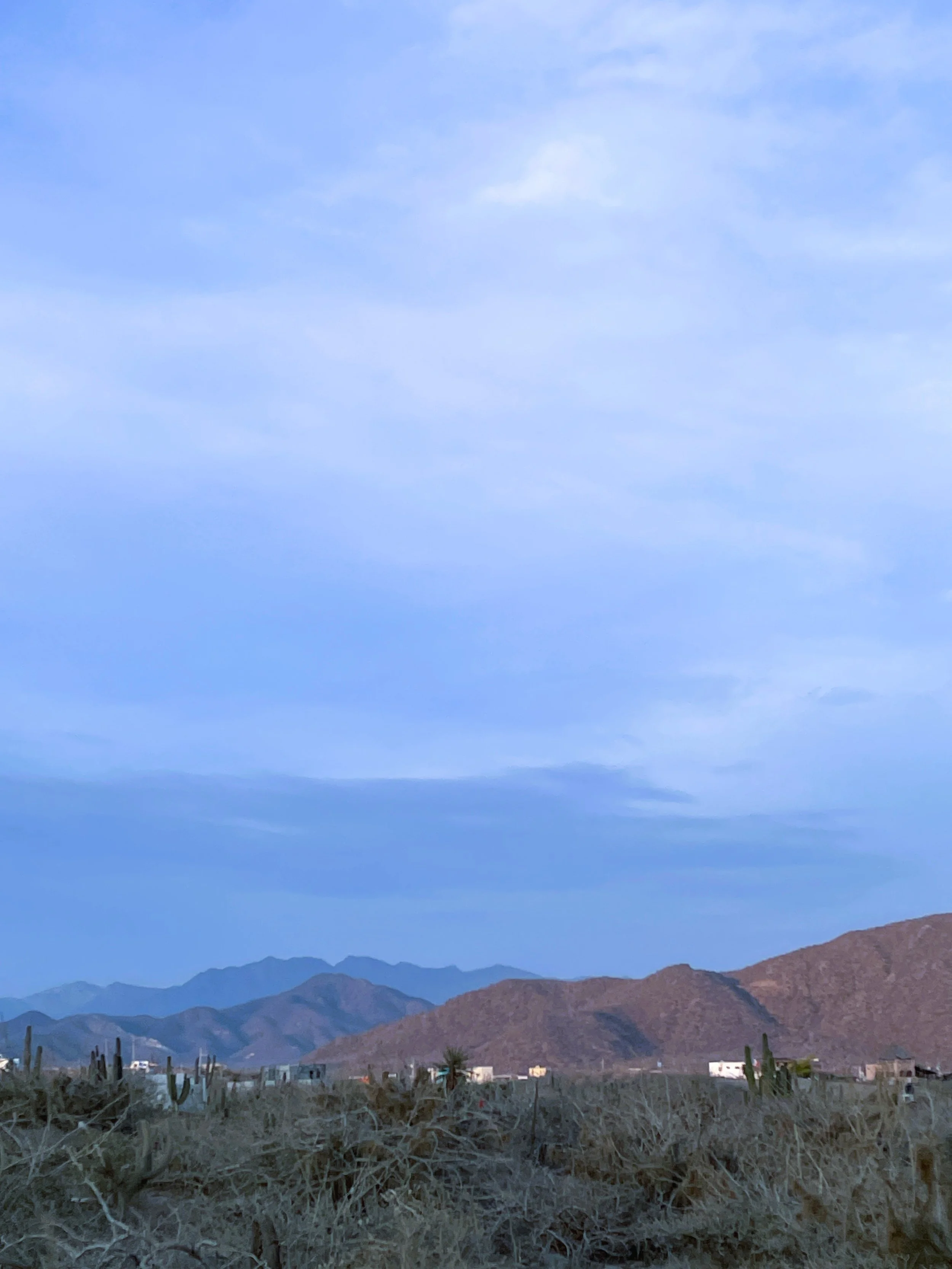 Jill Joy, Skyscape Vertical, Baja Mexico, 2026.JPG