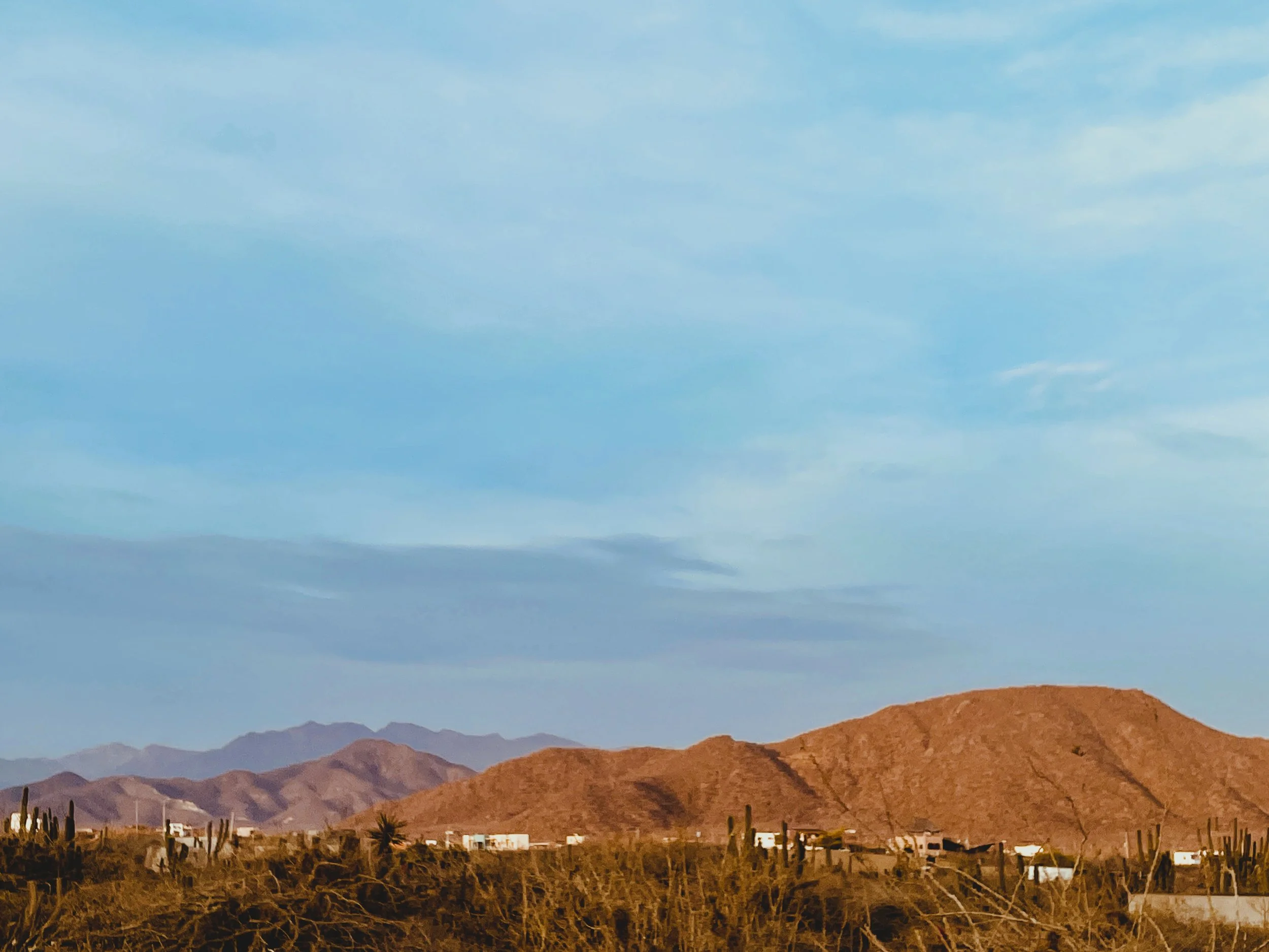 Jill Joy, Red Mountain, Baja Mexico, 2026.JPG