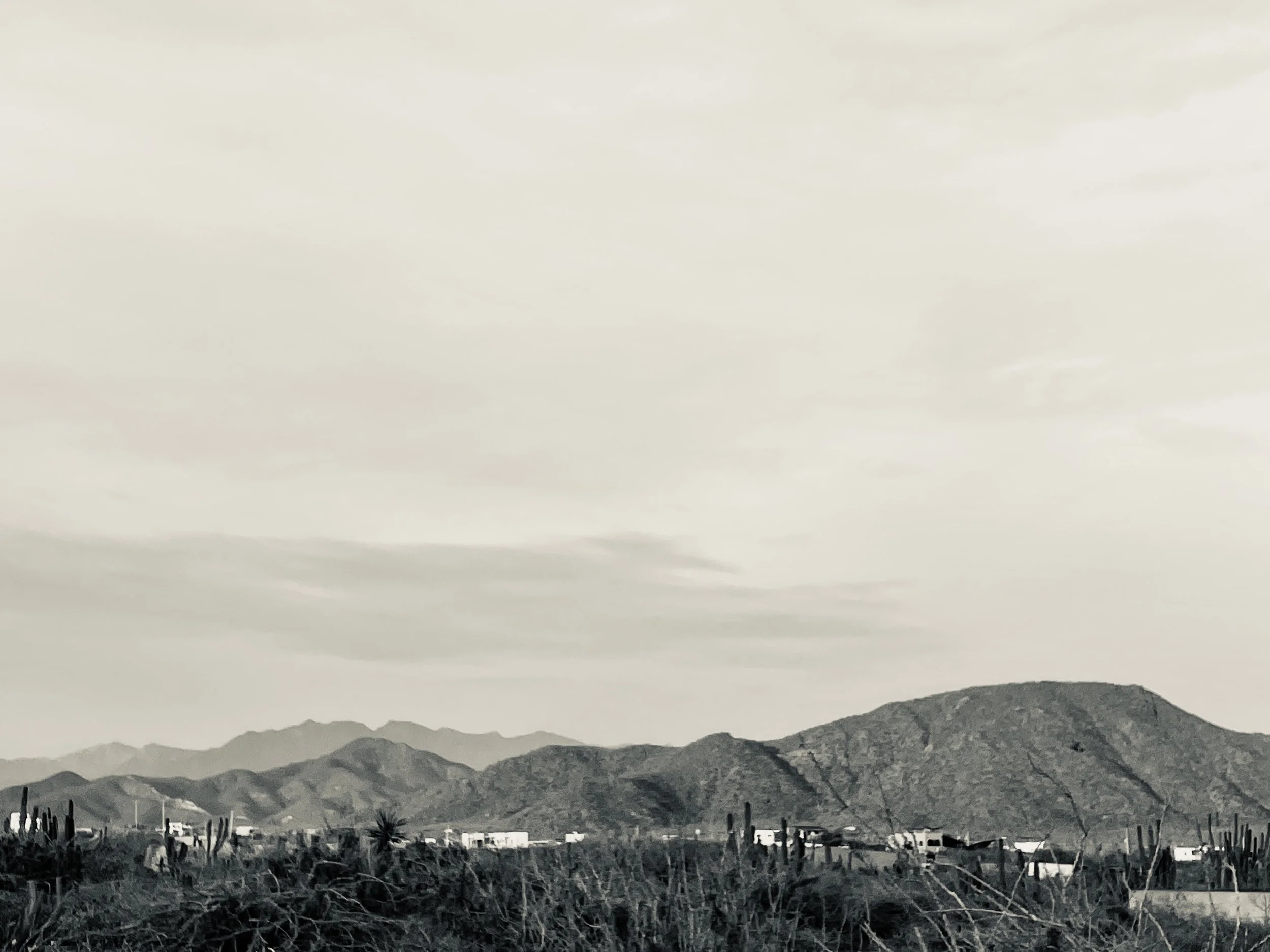 Jill Joy, Sepia Mountain, Baja Mexico, 2026.JPG