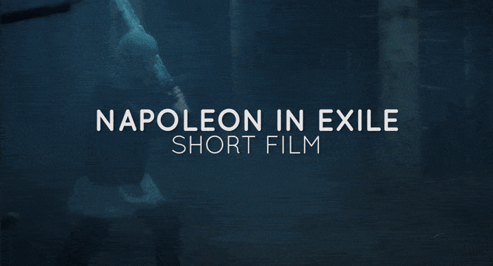 napoleon_compressed.gif