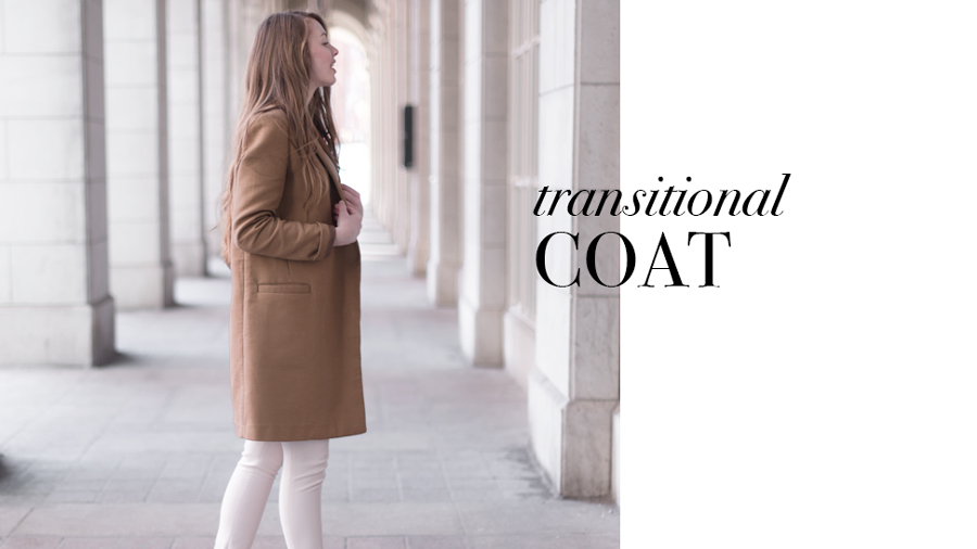 2-transitional-coat-brown.jpg