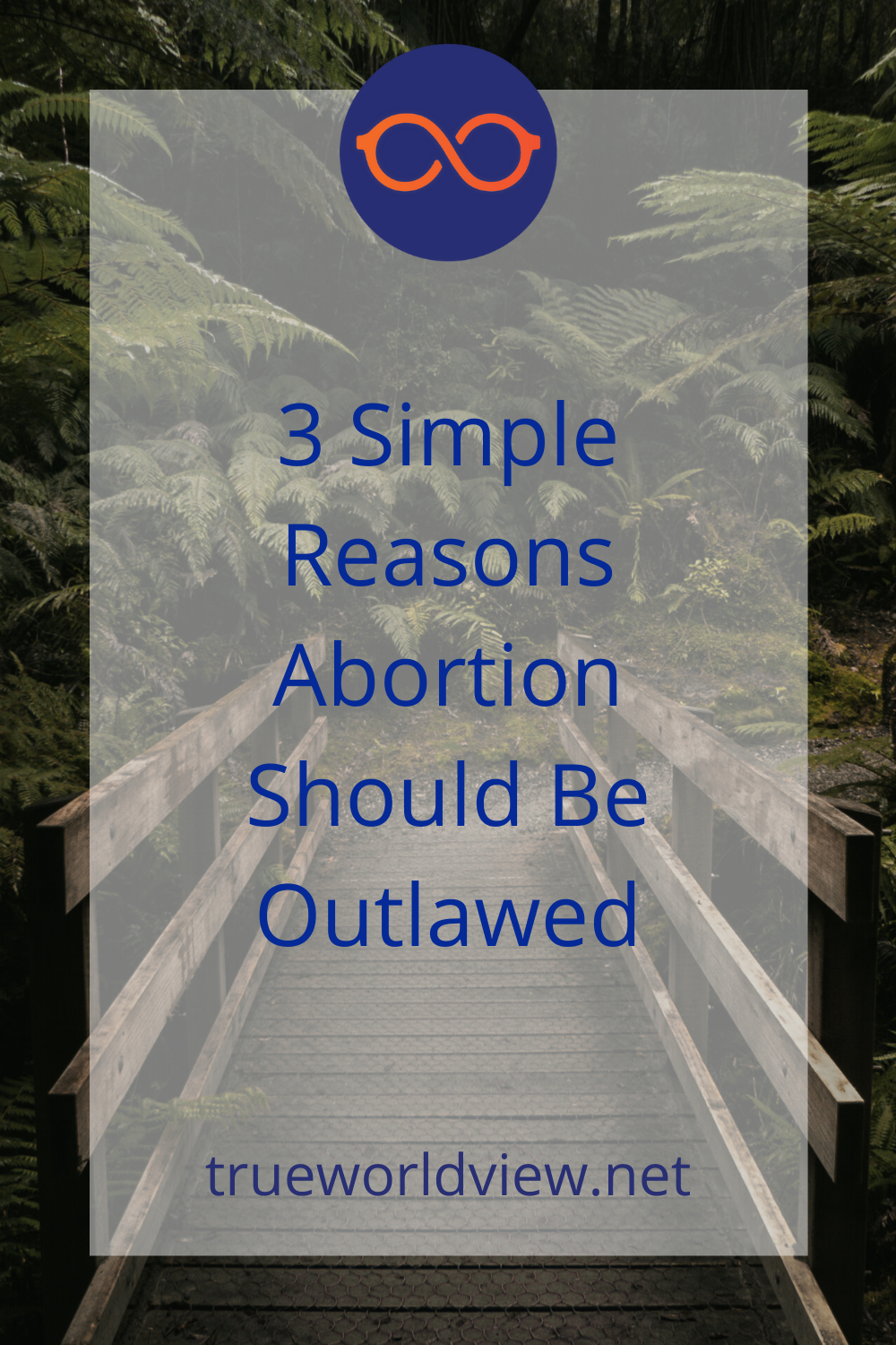 3 Reasons Abortion Should Be Outlawed