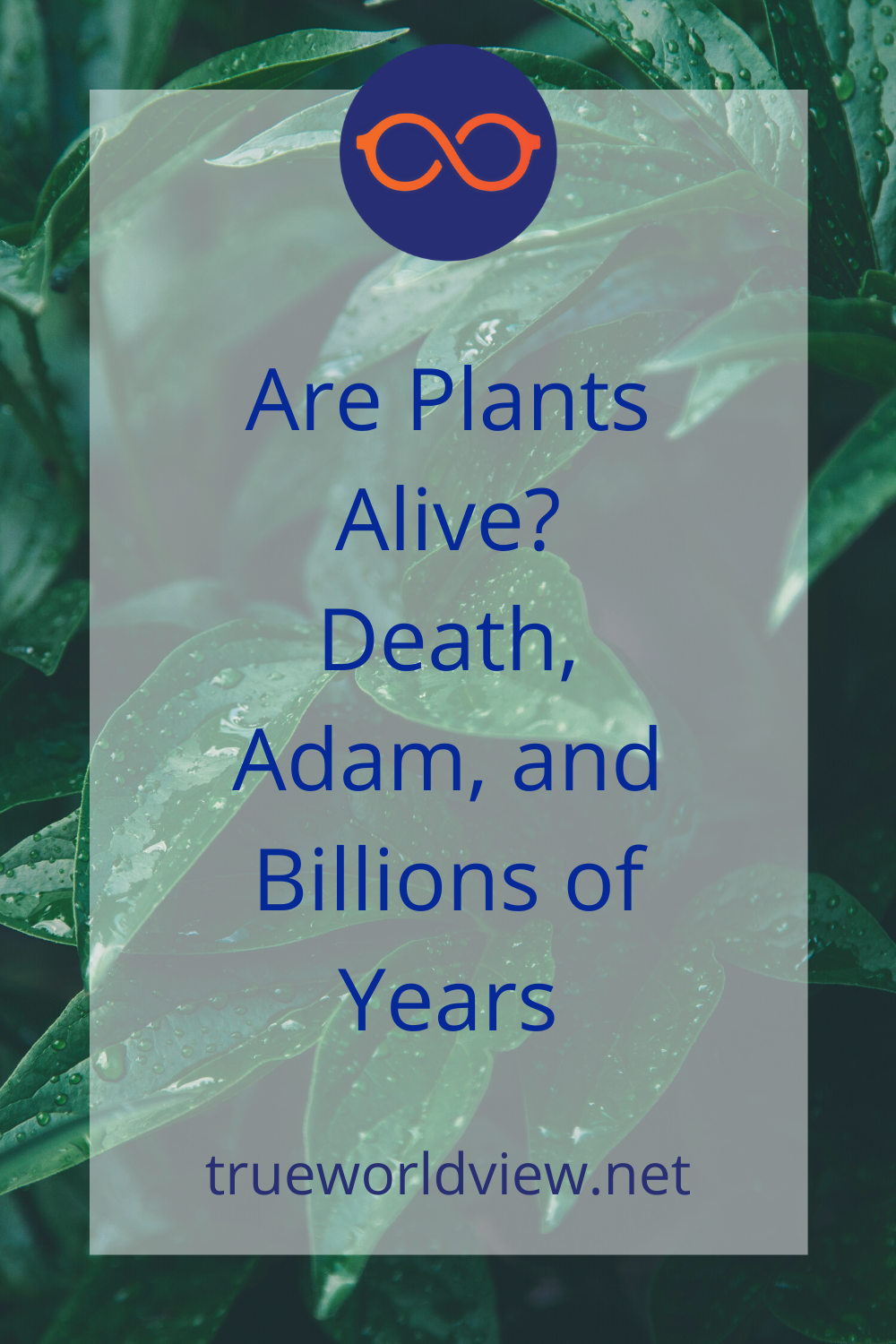 Are Plants Alive? Death, Adam, and Billions of Years | True Worldview Ep. 48