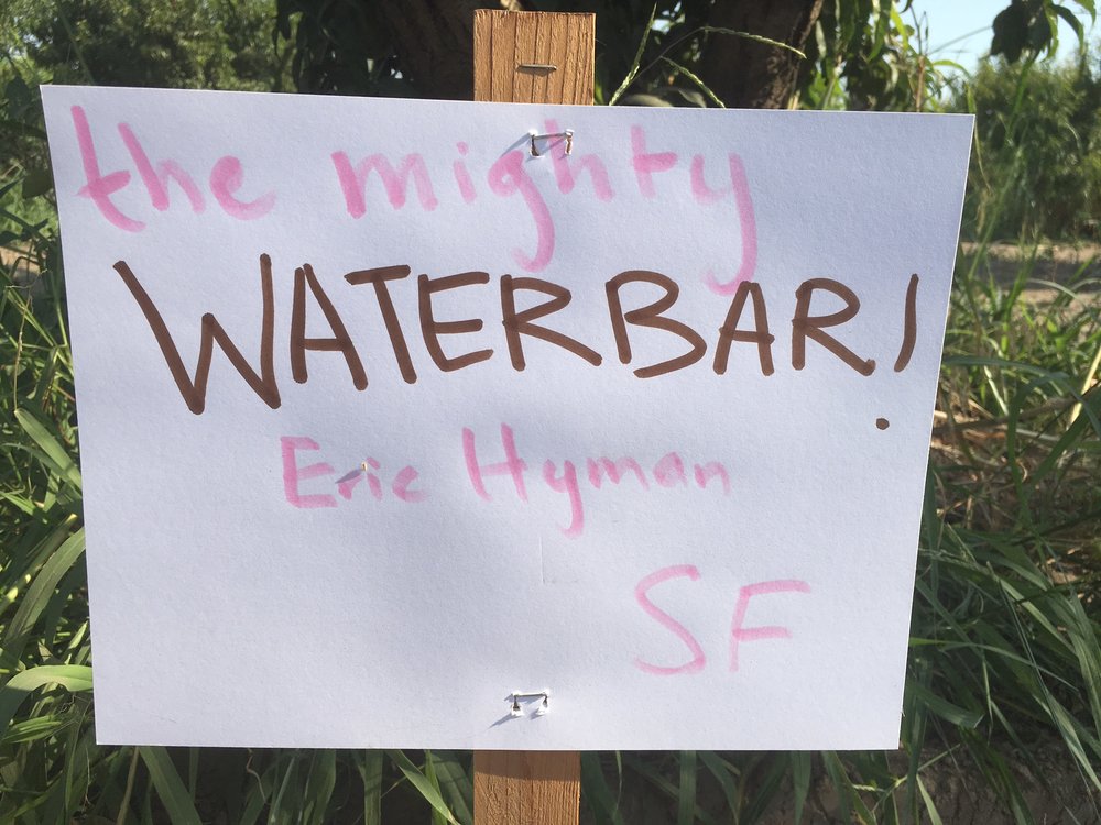 masumototreesignwaterbar_2017.JPG