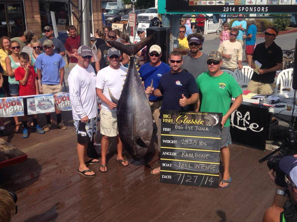 243.5 LB BIG EYE TUNA TO REEL INTENTS - $35,772