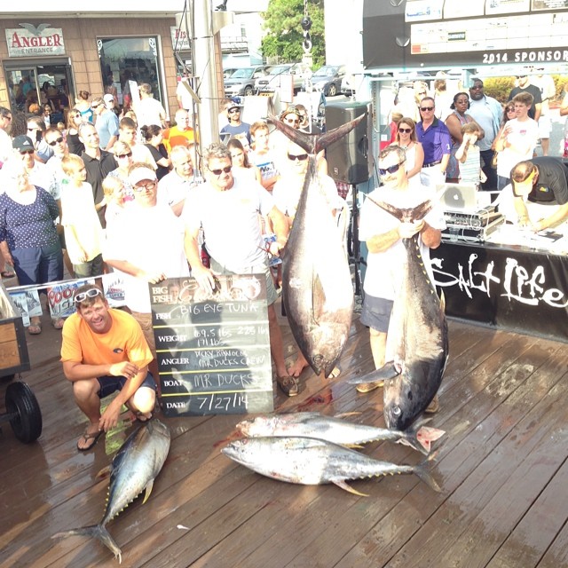 225.0 LB BIG EYE TUNA TO M.R. DUCKS - $5,496